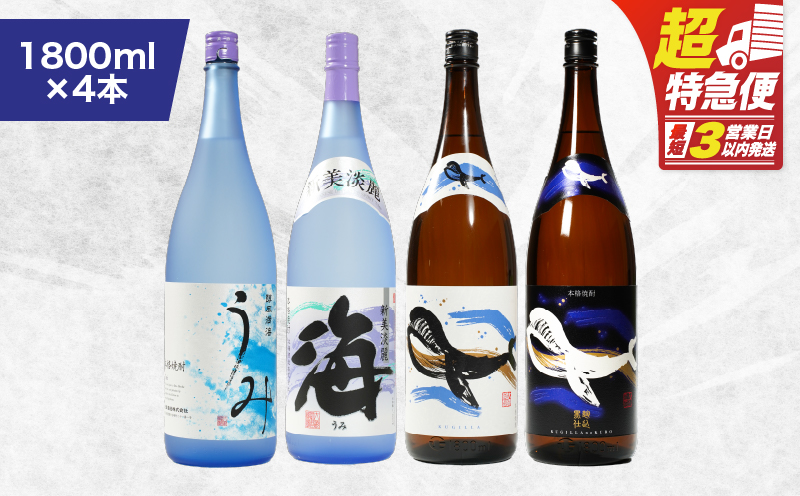 【超特急便】1795 海の蔵「大海酒造」の飲み比べセット！B-1（合計4本）　KN043-003-01