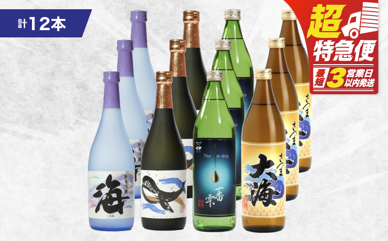 【超特急便】1796 海の蔵「大海酒造」の飲み比べセット！A-2（合計12本）　KN043-002-02