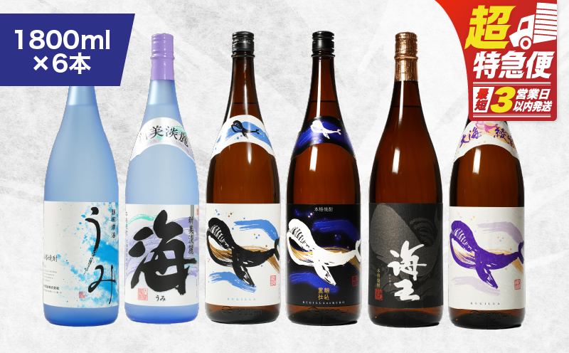 【超特急便】1797 海の蔵「大海酒造」の飲み比べセット！B-2（合計6本）　KN043-003-02