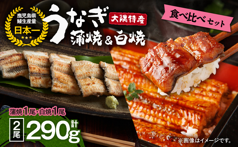 1876 大隅特産うなぎ蒲焼1尾（170g）・白焼1尾（120g）食べ比べセット　KN060-001-06