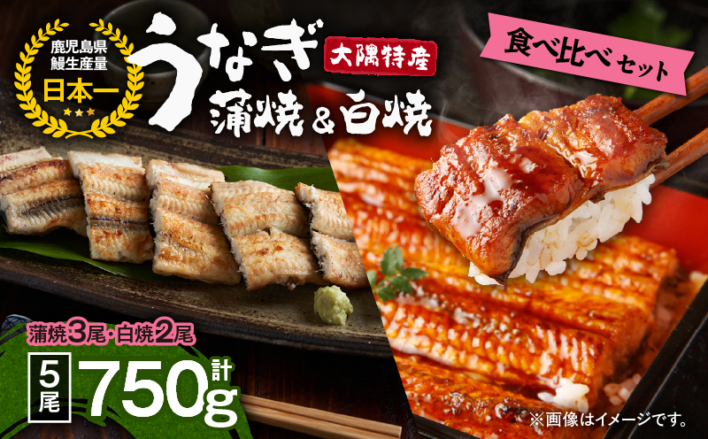 1879 大隅特産うなぎ蒲焼3尾（510g）・白焼2尾（240g）食べ比べセット　KN060-001-07