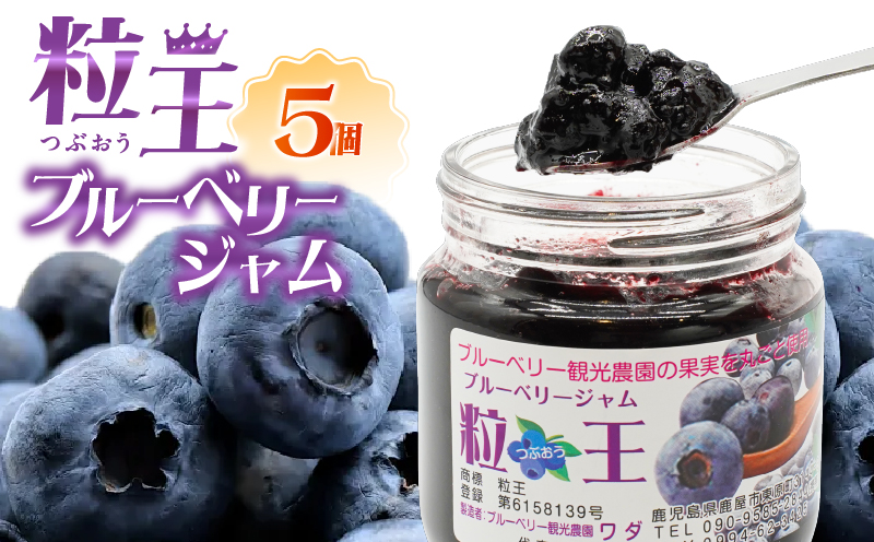 1903-1 粒王ブルーベリージャム200g×5個　KN030-003