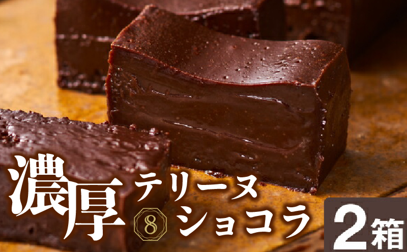 2027 オクタス テリーヌショコラ 2箱（280g×2本）　KN021-026-02