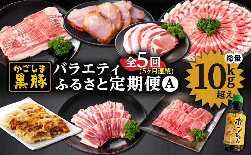 2030-1 黒豚バラエティふるさと定期A【全5回】　KN038-T03