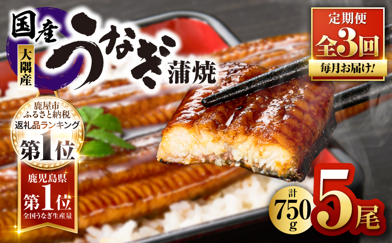 2082-1 鹿児島県大隅産うなぎ蒲焼5尾（750g） 【3ヶ月定期】　KN007-T04