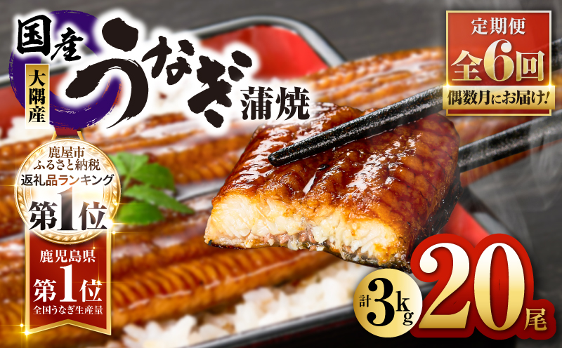 2084-1 鹿児島県大隅産うなぎ蒲焼20尾（3kg）【6ヶ月定期】　KN007-T06