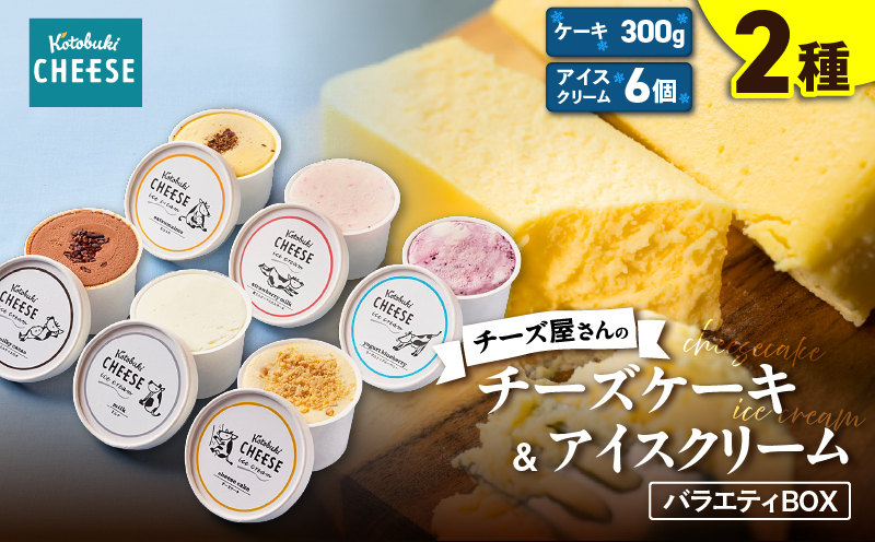 2105 チーズケーキ/アイスクリーム6種バラエティBOX　KN087-005