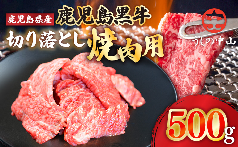 2111 うしの中山 切り落とし 焼肉用 500g　KN050-004