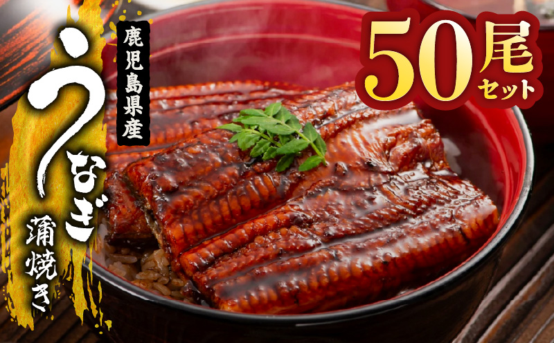 2120 鹿児島県産 うなぎ蒲焼 50尾　KN058-002-50