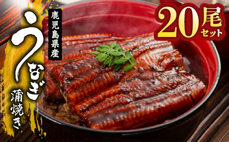 2122 鹿児島県産 うなぎ蒲焼 20尾　KN058-002-20