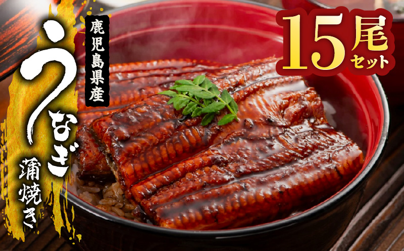 2123 鹿児島県産 うなぎ蒲焼 15尾　KN058-002-15