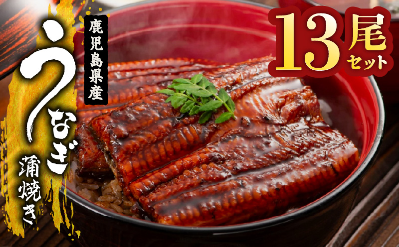 2124 鹿児島県産 うなぎ蒲焼 13尾　KN058-002-13