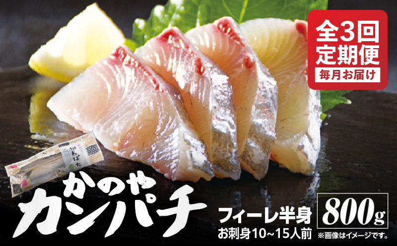 2141 【全3回定期便/毎月お届け】かのやカンパチ フィーレ半身（お刺身10～15人前） 800g　KN001-T01
