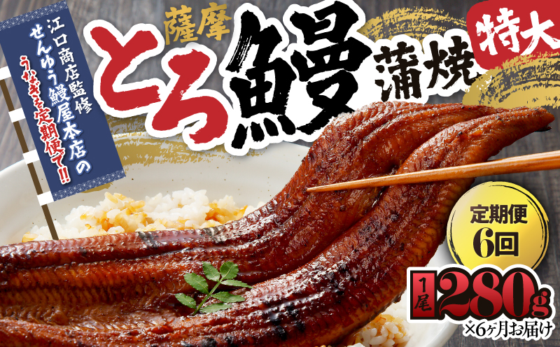 2173-1 【江口商店監修】薩摩とろ鰻蒲焼特大サイズ一尾 280g（6ヶ月定期）　KN084-T01