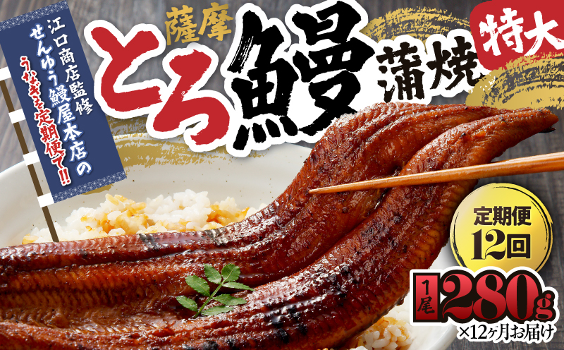 2175-1 【江口商店監修】薩摩とろ鰻蒲焼特大サイズ一尾280g（12 ヶ月定期）　KN084-T03