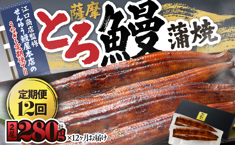 2176-1 【江口商店監修】薩摩とろ鰻蒲焼二尾 280g（140g×2）＜12ヶ月定期＞　KN084-T04