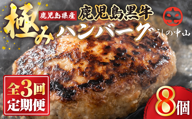 2231 【定期3回】ハンバーグ（8個）【うしの中山】　KN050-T01