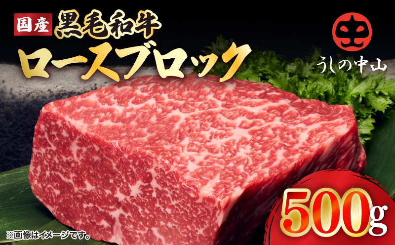 2237 黒毛和牛 ロース ブロック 500g【うしの中山】　KN050-011