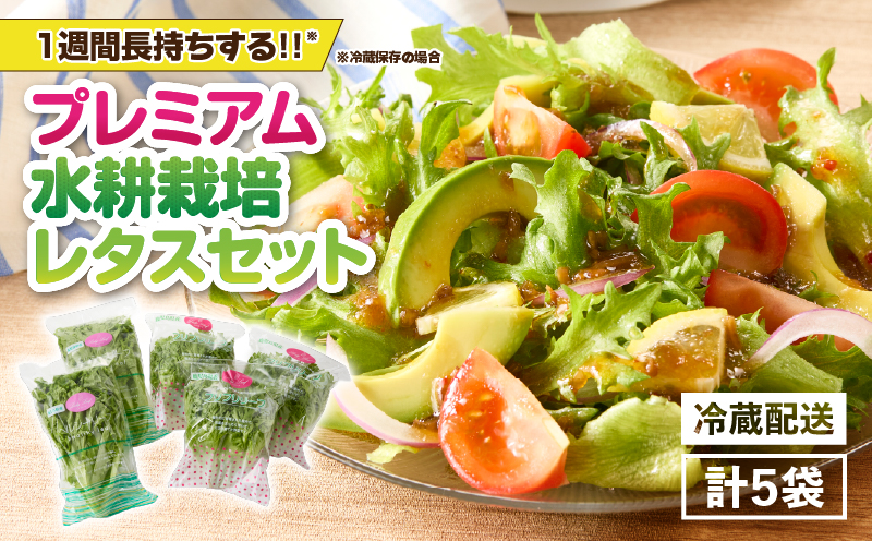 2257 洗わずに食べられる プレミアム 水耕栽培 レタス 5袋　KN064-001