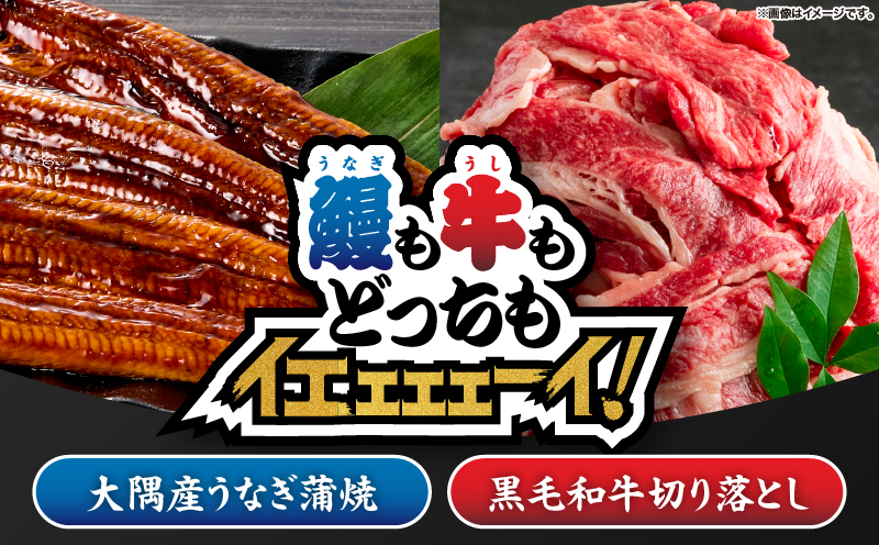 2265 鰻も牛もどっちもイエェェェーイ！セット1　KN050-003-01