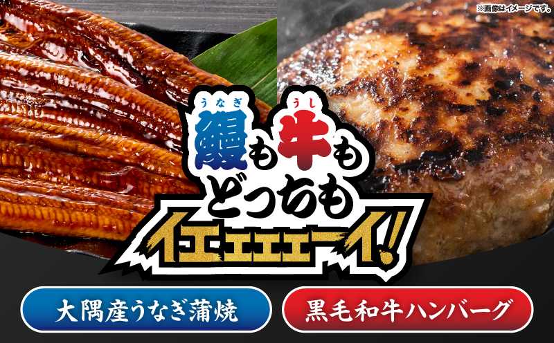 2266 鰻も牛もどっちもイエェェェーイ！セット2　KN050-003-02