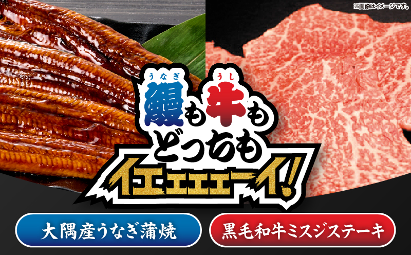 2267 鰻も牛もどっちもイエェェェーイ！セット3　KN050-003-03