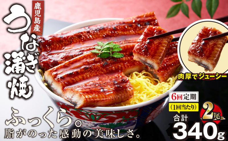 2323-1 【全6回定期便】鹿児島産うなぎ 合計340g（170g×2尾）　KN021-T19