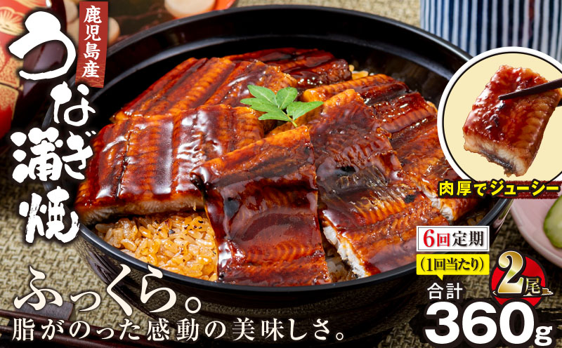 2324-1 【全6回定期便】鹿児島産うなぎ 合計360g（180g×2尾）　KN021-T20