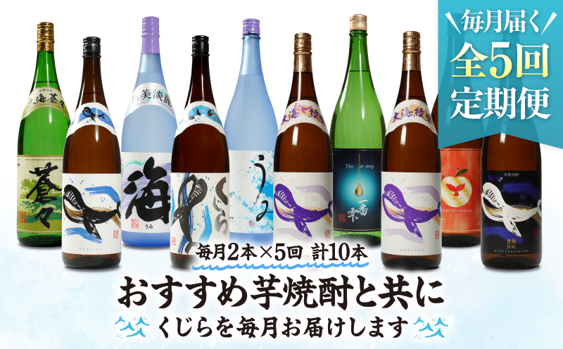 2346 【全5回定期便】大海酒造 本格焼酎 芋焼酎 くじら 毎月配送 1800ml×2本 計10本　KN034-T01