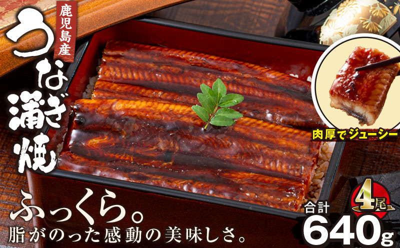 2441 鹿児島産うなぎ 合計640g（160g×4尾）　KN021-013-04