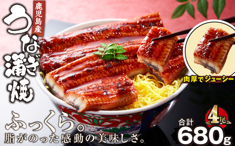 2444 鹿児島産うなぎ 合計680g（170g×4尾）　KN021-014-04