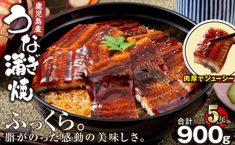 2448 鹿児島産うなぎ 合計900g（180g×5尾）　KN021-015-05