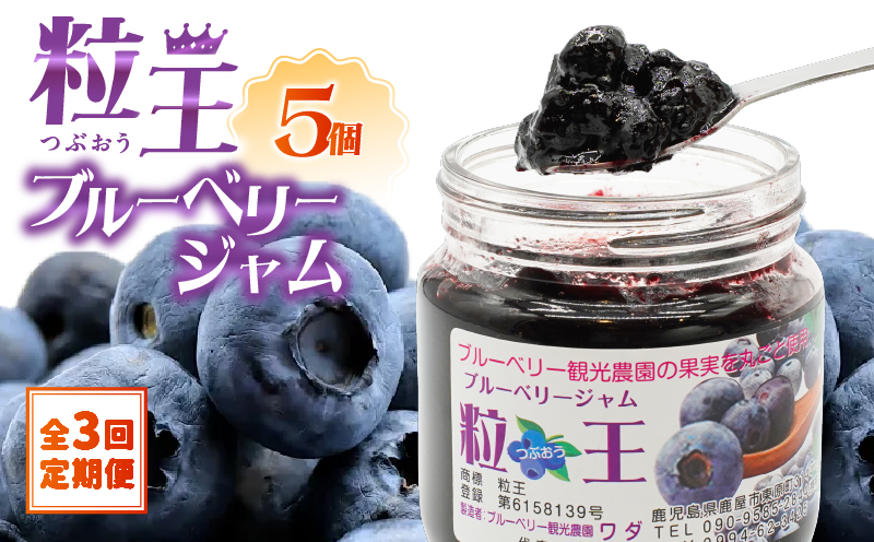 2468-1 【全3回定期便】（2ヶ月に1回お届け）粒王 ブルーベリージャム 200g×5個　KN030-T02