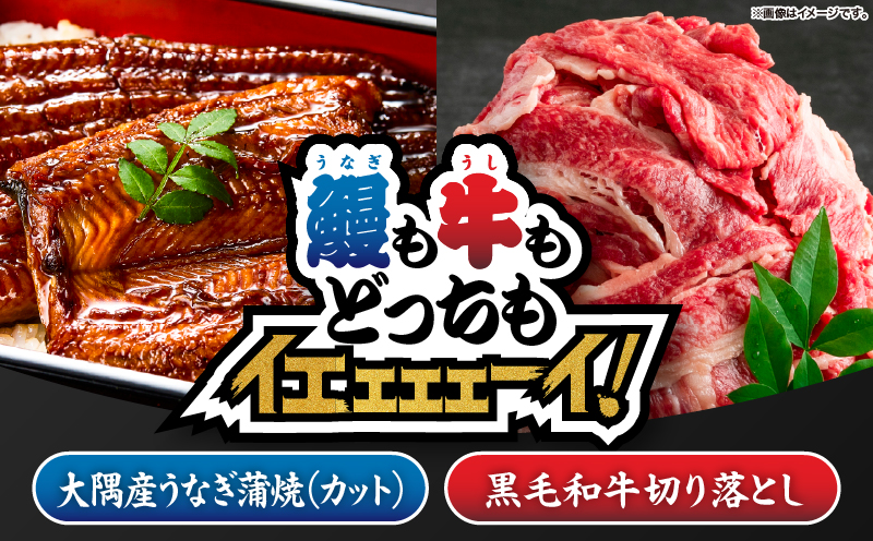 2474 【鰻も牛もどっちもイエェェェーイ！7】鹿児島県大隅産「カット」うなぎ蒲焼80g×2枚 最高級A5・黒毛和牛切り落とし300g　KN050-014