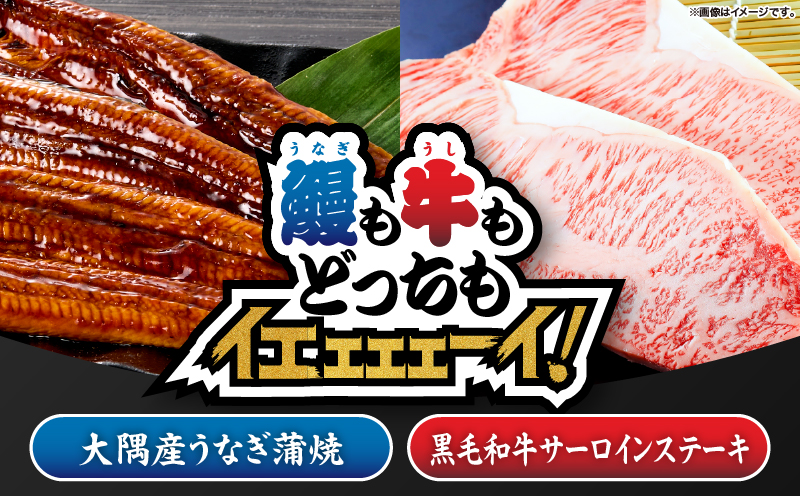 2475 【鰻も牛もどっちもイエェェェーイ！8】鹿児島県大隅産うなぎ蒲焼150g うしの中山サーロインステーキ200g　KN050-015