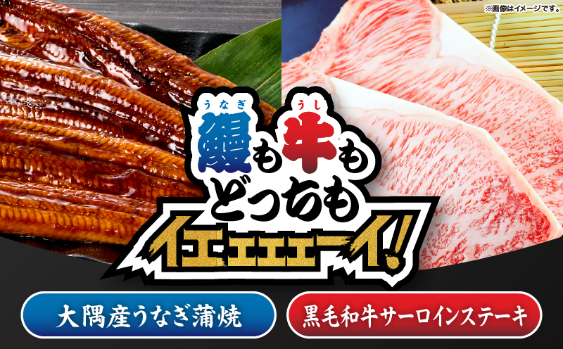 2476 【定期3回】【鰻も牛もどっちもイエェェェーイ！8】鹿児島県大隅産うなぎ蒲焼150g うしの中山サーロインステーキ200g　KN050-T03