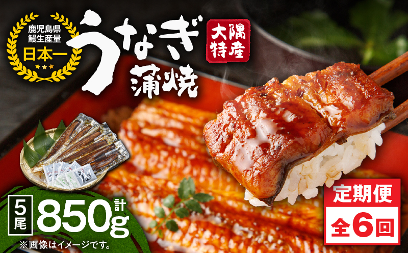 2489 【定期6回】大隅特産うなぎ蒲焼5尾（850g）【国産】　KN060-T13