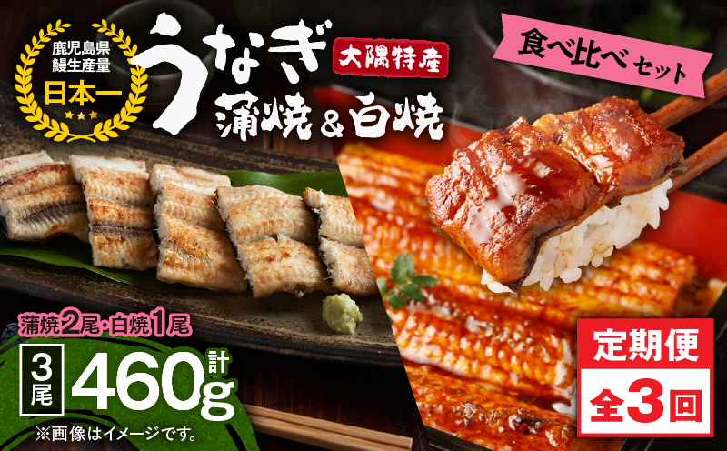 2491 【定期3回】大隅特産うなぎ蒲焼 2尾（340g）・白焼1尾（120g）食べ比べセット　KN060-T15