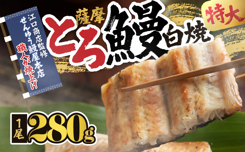 2519 【江口商店監修】薩摩トロ鰻白焼特大サイズ一尾 280g　KN084-004