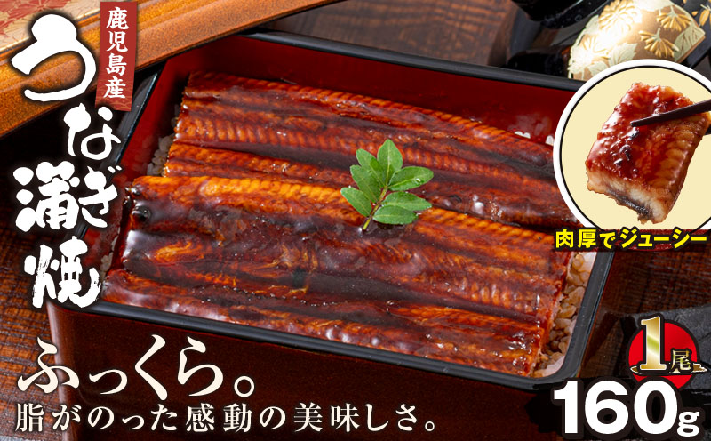 2520 鹿児島産うなぎ 160g×1尾 清らかな地下水育ち！ 国産 本格 うなぎ 鰻 蒲焼（鹿児島）　KN021-013-01