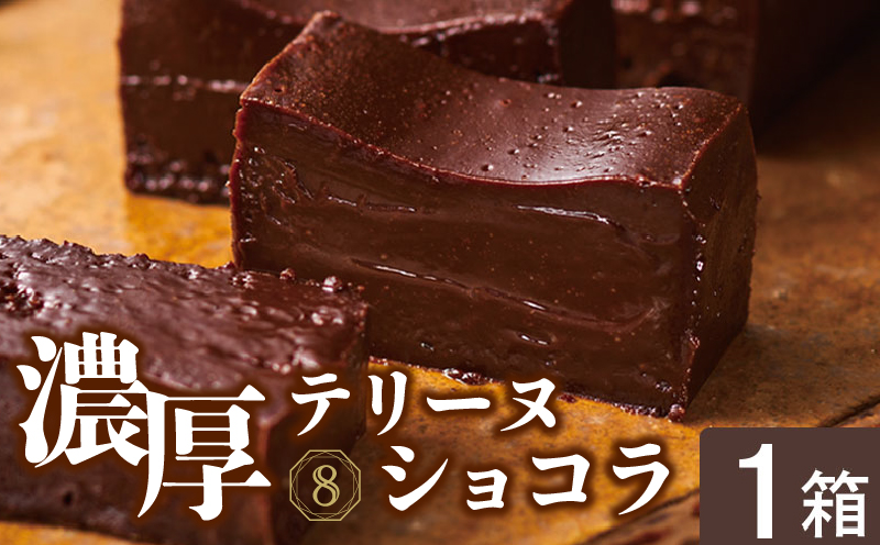 2522 オクタス テリーヌショコラ 1箱（280g×1本）　KN021-026-01