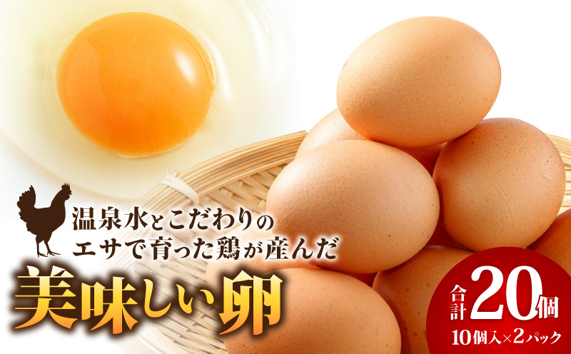 2525 温泉水とこだわりのエサで育った鶏が産んだ美味しい卵 20個（10個入×2パック）※18個+破卵保障2個　KN021-035