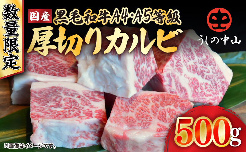 2547 【数量限定】A4・A5等級 うしの中山黒毛和牛厚切りカルビ 500g（500g×1袋）　KN050-023