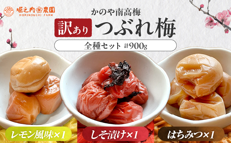 2583 ＜訳あり＞ つぶれ梅 梅干し かのや南高梅 食べ比べ A  （はちみつ梅・しそ梅・レモン風味） 各1袋 ×300g （計900g）　KN033-007-01