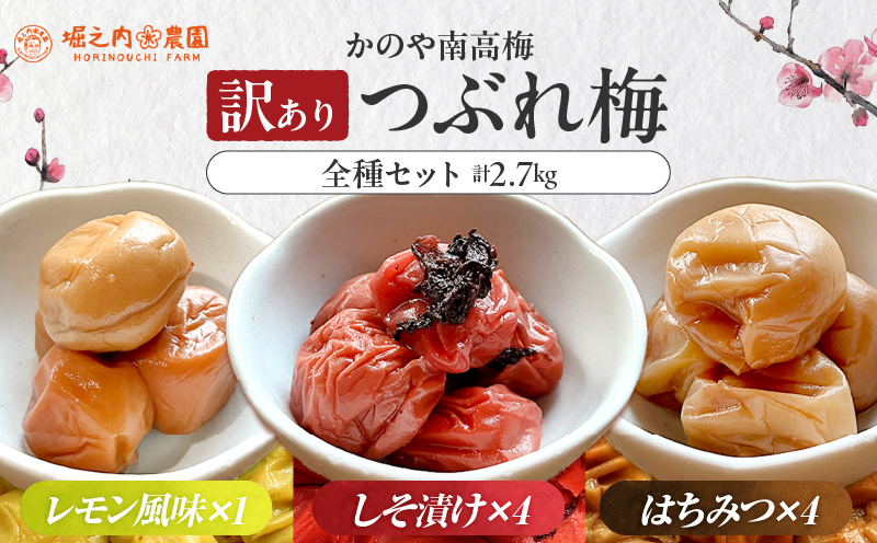 2589 ＜訳あり＞ つぶれ梅 梅干し かのや南高梅 食べ比べ G  （はちみつ梅×4、しそ梅×4、レモン風味×1） 計9袋 ×300g （計2.7kg）　KN033-007-04