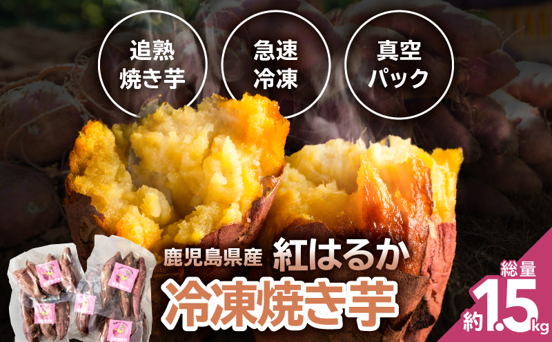 2830 鹿児島県産紅はるか冷凍焼き芋　KN113-003