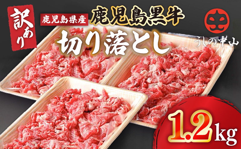 2872 【訳あり】うしの中山 黒毛和牛 切り落とし 1.2kg　KN050-030