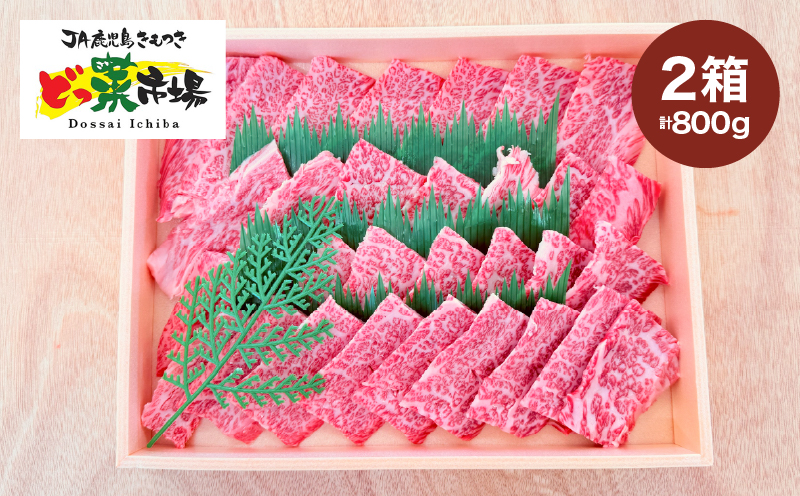 2881 A5ランク鹿児島産黒毛和牛バラカルビ焼肉木箱 800g 400g×2箱　KN010-005-02