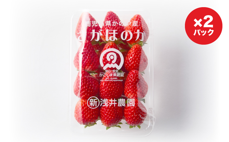 2887 K-GAP取得 鹿児島県かのや産いちご さがほのか（300g×2パック）　KN114-001-02