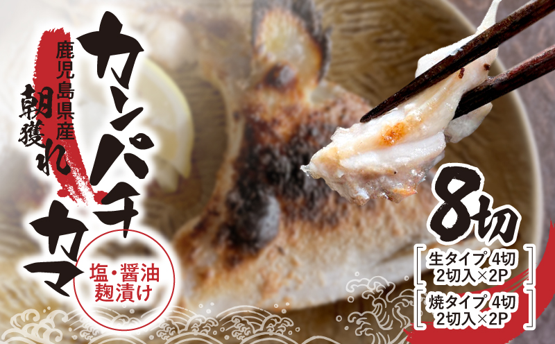 486-1 カンパチカマ塩・醤油麹漬け8切　KN037-001-01